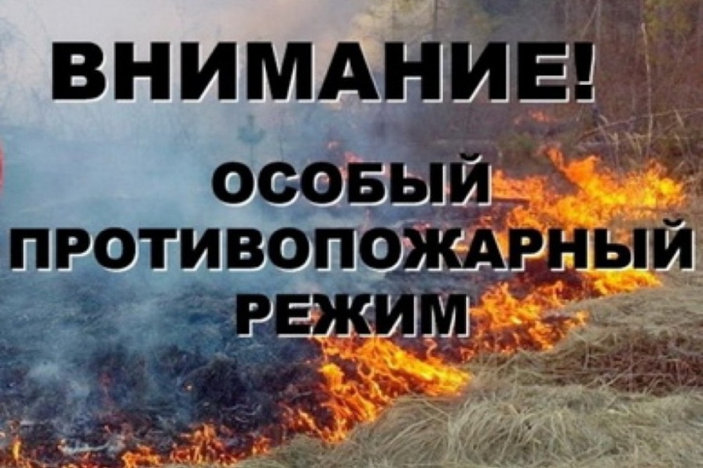 Внимание!!! с 01.04.2024 года на территории Саратовской области объявлен пожароопасный режим!!!.