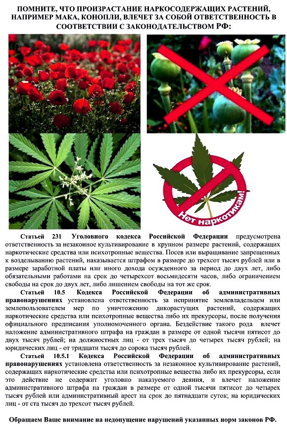 Вред, наносимый наркотиками, чрезвычайно велик – от них страдает все общество в целом и, прежде всего, молодежь..