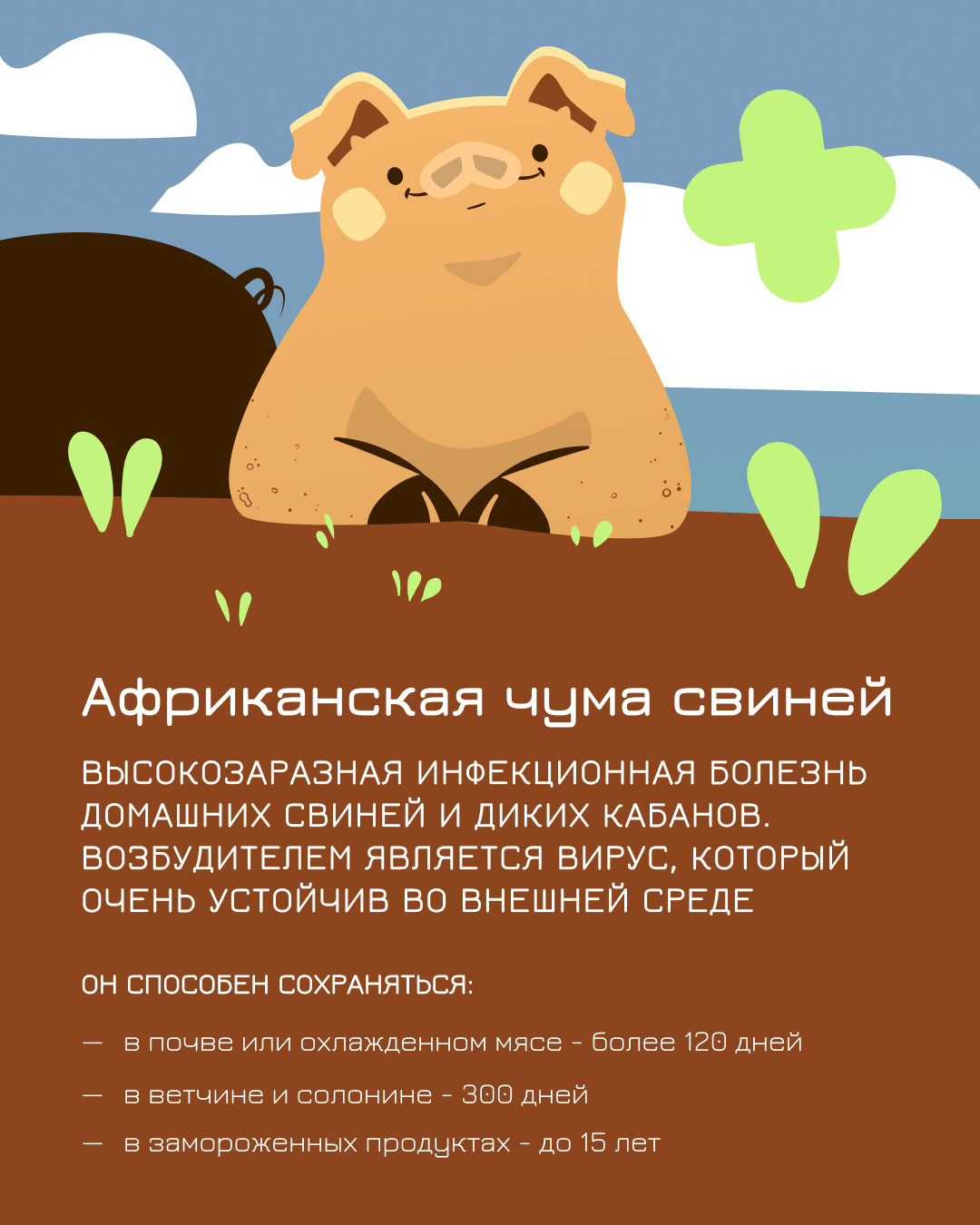 Важная информация по Африканской чуме..