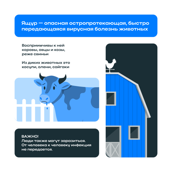 Внимание!!! Осторожно "Ящур животных". Внимание!!! Осторожно "Ящур животных".